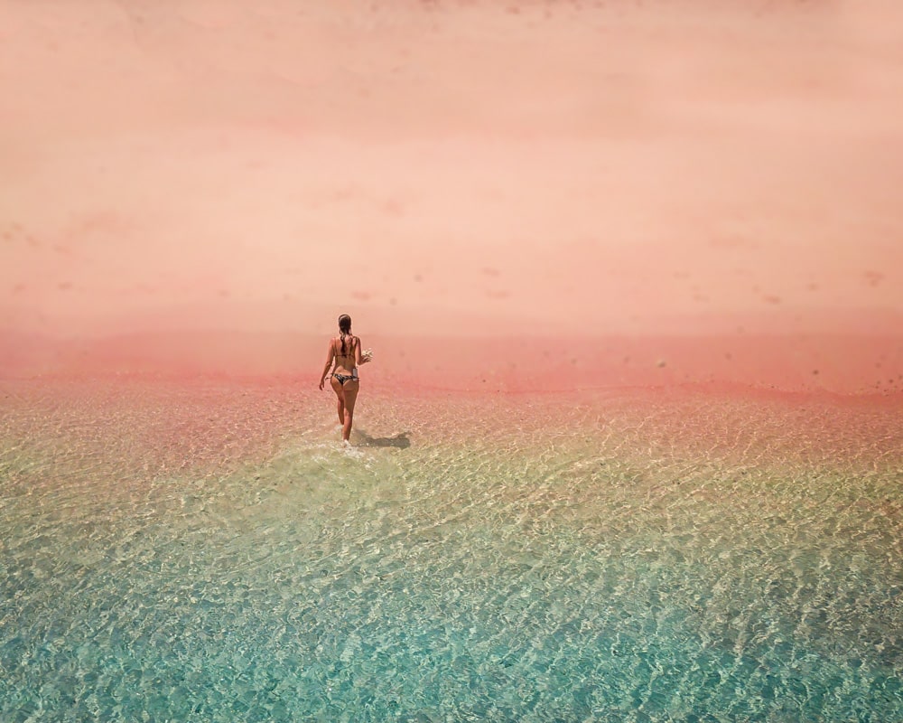 Plage rose Komodo