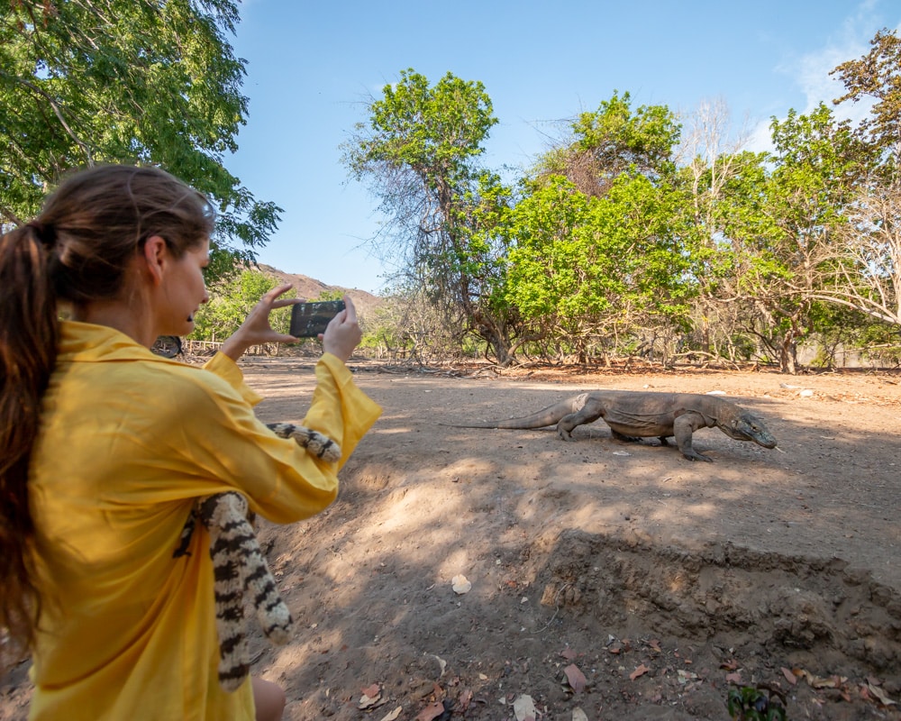 Île de Rinca Komodo Bateau